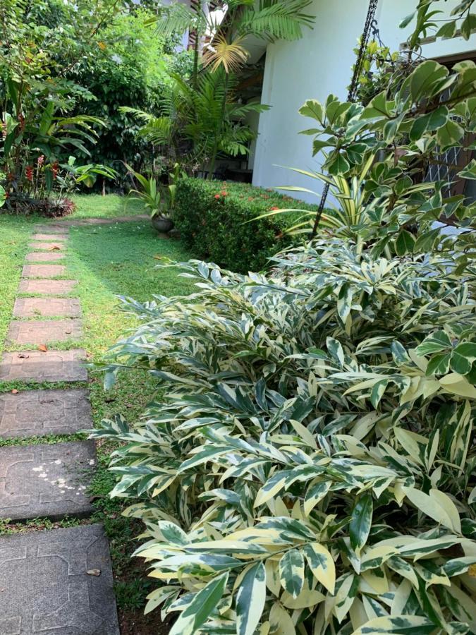 Tranquil Private Villa Near Bentota Beach Exteriör bild
