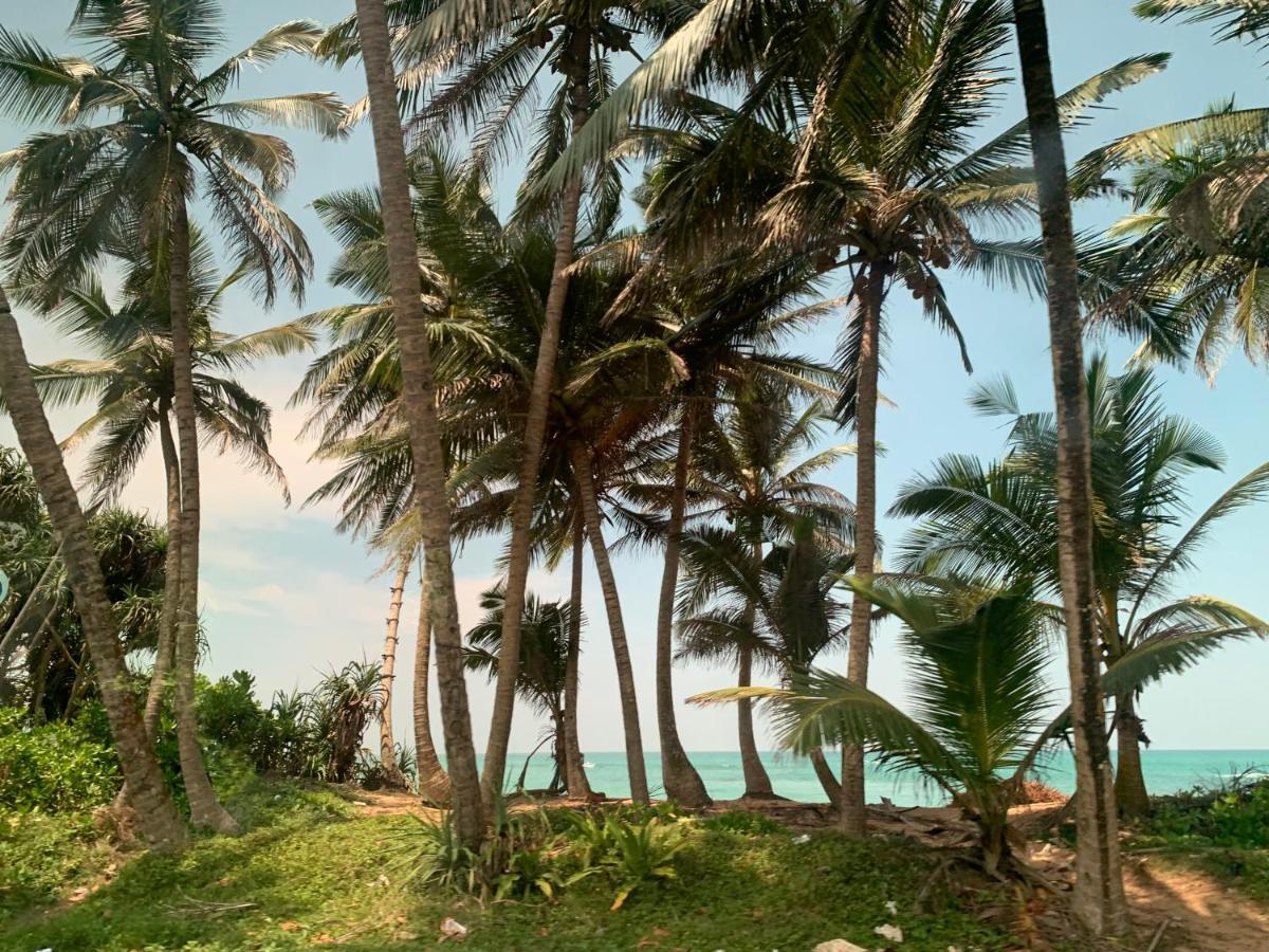 Tranquil Private Villa Near Bentota Beach Exteriör bild