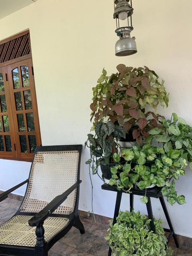 Tranquil Private Villa Near Bentota Beach Exteriör bild
