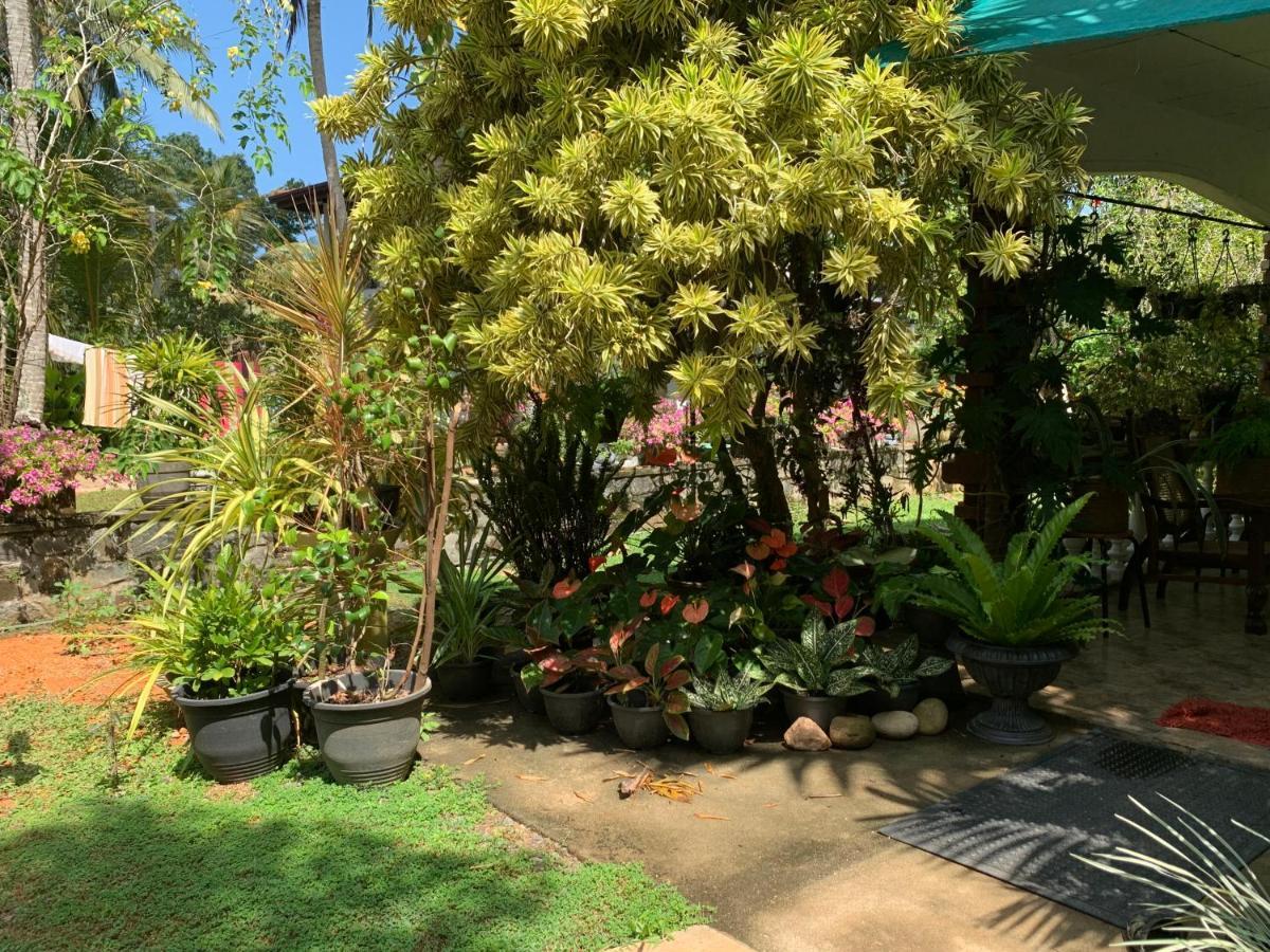 Tranquil Private Villa Near Bentota Beach Exteriör bild