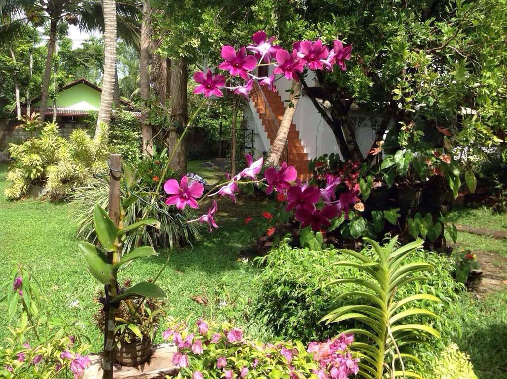 Tranquil Private Villa Near Bentota Beach Exteriör bild